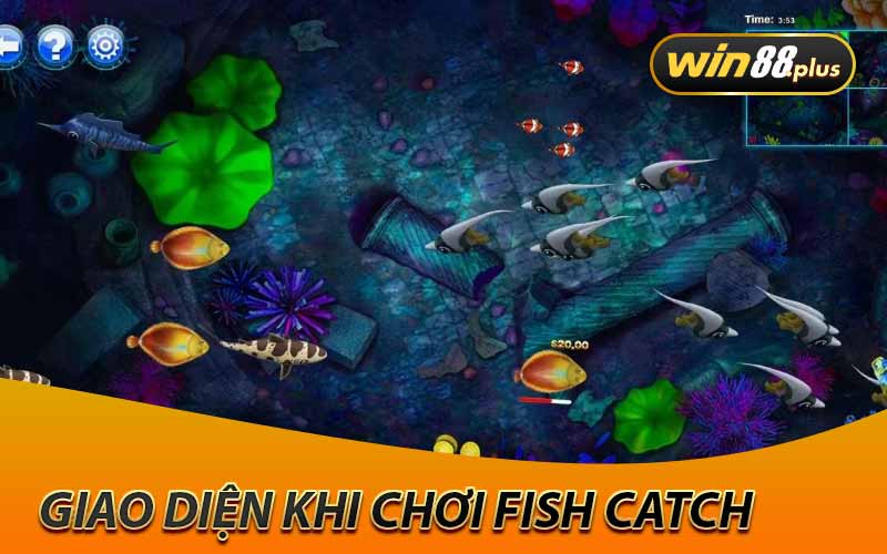 giao diện khi chơi fish catch